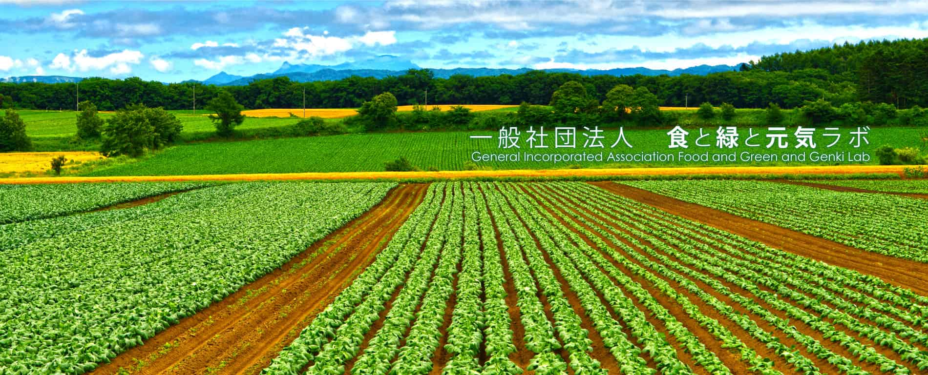 食と緑と元気ラボ